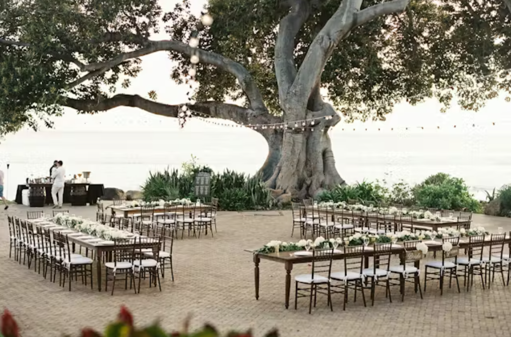 Tables and chairs arranged for an outdoor wedding ceremony at Olowalu Plantation House with tropical surroundings.